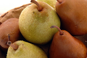 Image showing pears