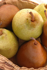 Image showing pears vert