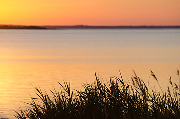 Image showing Summer evening sunset