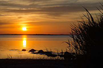 Image showing Summer sunset by a calm coast