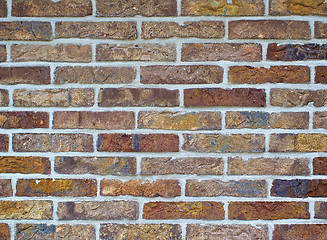 Image showing Multi Colored Bricks Background