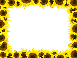 Image showing Sunflower Frame