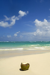 Image showing Coconut drink on exotic beach