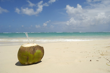 Image showing Coconot drink on exotic beach