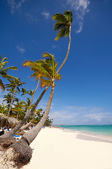 Image showing Exotic beach with white sand