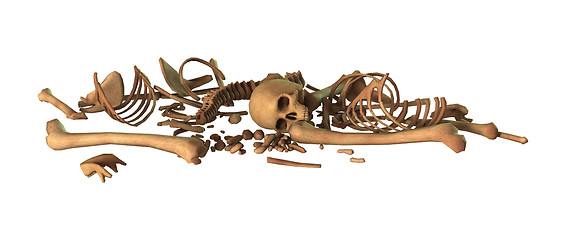 Image showing 3D Rendering Human Skeleton on White