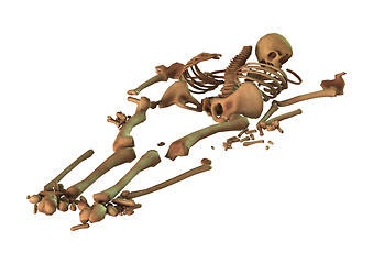 Image showing 3D Rendering Human Skeleton on White