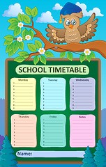 Image showing Weekly school timetable topic 1