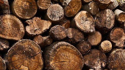 Image showing Dry firewood in a pile for furnace kindling