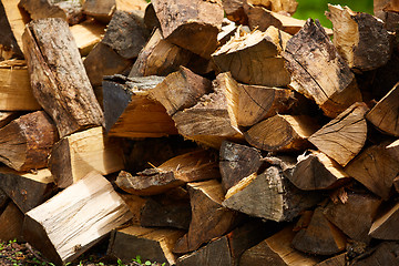 Image showing Dry firewood in a pile for furnace kindling