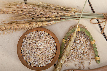 Image showing organic barley grains