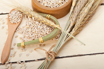 Image showing organic barley grains