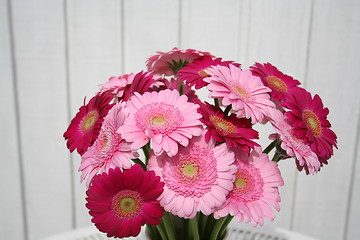 Image showing Gerbera flowers