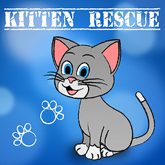 Image showing Kitten Rescue Indicates Domestic Cat And Cats