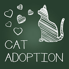 Image showing Cat Adoption Shows Kitten Pet And Adopting