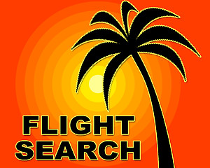 Image showing Flight Search Shows Information Aircraft And Searching
