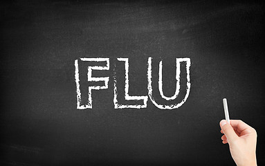 Image showing Flu