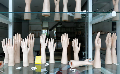 Image showing Mannequin Hands