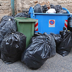 Image showing Garbage Problems