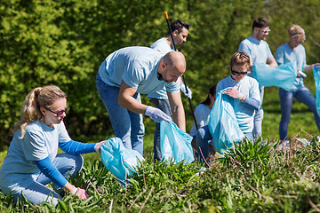 Image showing volunteers with garbage bags cleaning park area