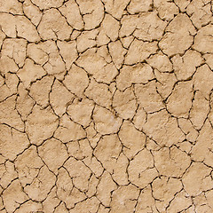 Image showing Cracks in the ground