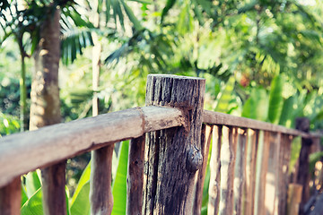 Image showing wooden fence at tropical woods or park