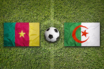 Image showing Cameroon vs. Algeria flags on soccer field