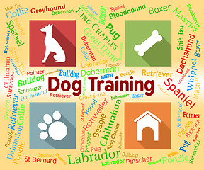 Image showing Dog Training Shows Pet Puppy And Pedigree