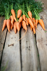 Image showing Fresh carrots bunch on rustic wooden background