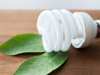 Image showing close up of energy saving lightbulb and green leaf