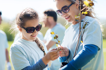 Image showing volunteers family with tree seedling in park