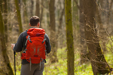 Image showing Male hiker looking to the side walking in forest