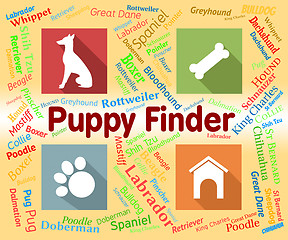 Image showing Puppy Finder Shows Search Out And Choose