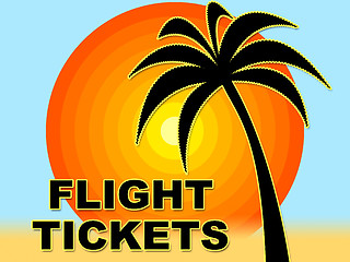 Image showing Flight Tickets Means Flights Shop And Plane