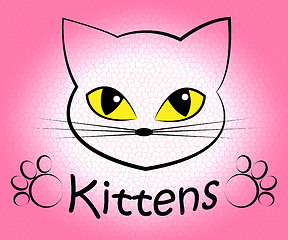 Image showing Kittens Word Means Domestic Cat And Cats