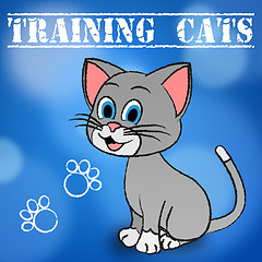 Image showing Training Cats Shows Teaching Instruct And Trained