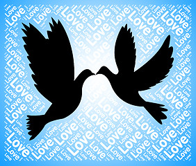 Image showing Love Doves Means Tenderness Loving And Affection