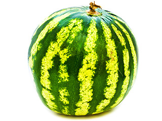 Image showing Big Watermelon 