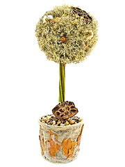 Image showing Decorative Tree