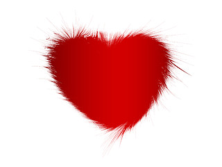 Image showing fur heart