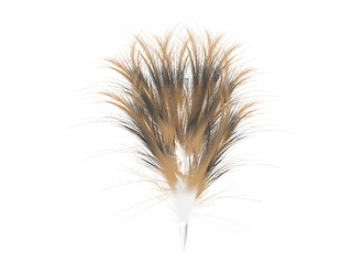 Image showing feather