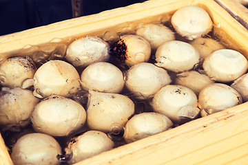 Image showing food sale at street market