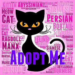 Image showing Adopt Cat Indicates Kitty Felines And Cats