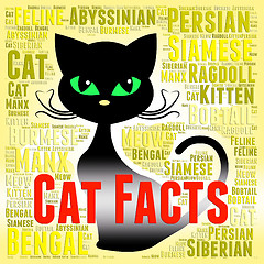 Image showing Cat Facts Shows True Knowledge And Puss