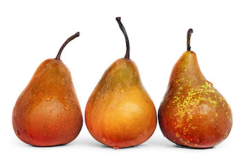 Image showing Juicy Ripe Pears