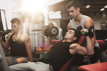 Image showing group of men with dumbbells in gym