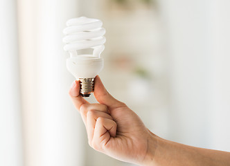 Image showing close up of hand holding energy saving lightbulb