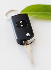 Image showing close up of car key and green leaf