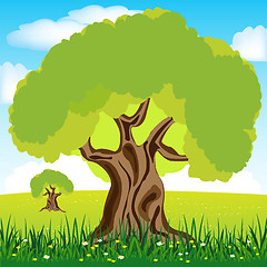 Image showing Tree on glade