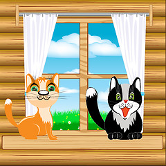 Image showing Cats on window